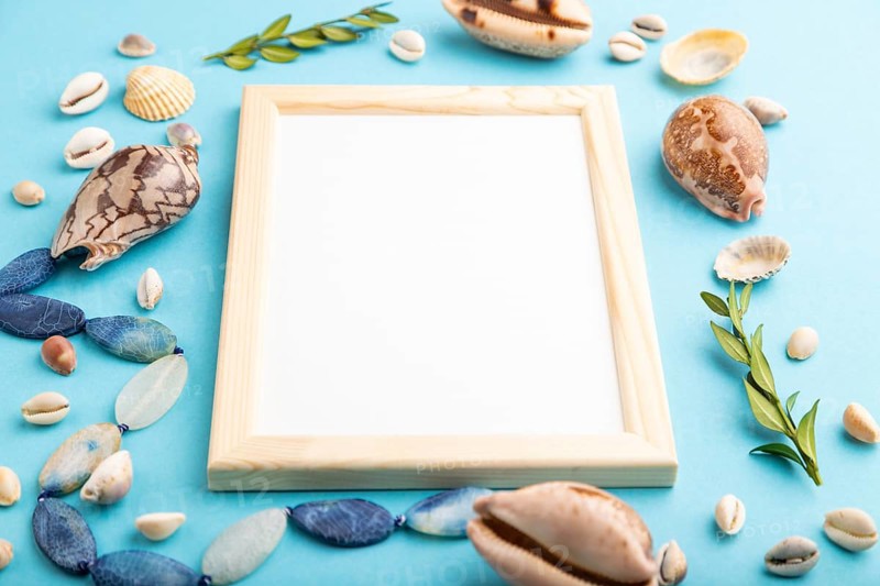 Composition with wooden frame, seashells, green boxwood. mockup on blue pastel background. Blank, side view, still life, copy space. travel concept