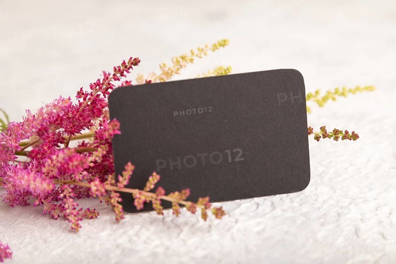Black paper business card mockup with purple astilbe flowers on gray concrete background. Blank, side view, copy space, still life. spring concept