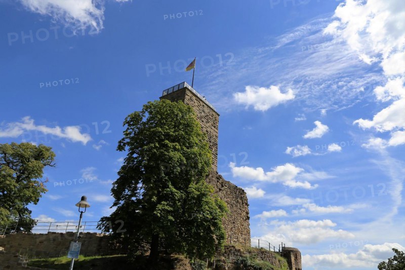 The Wachtenburg castle near Wachenheim close to Bad Dürkheim