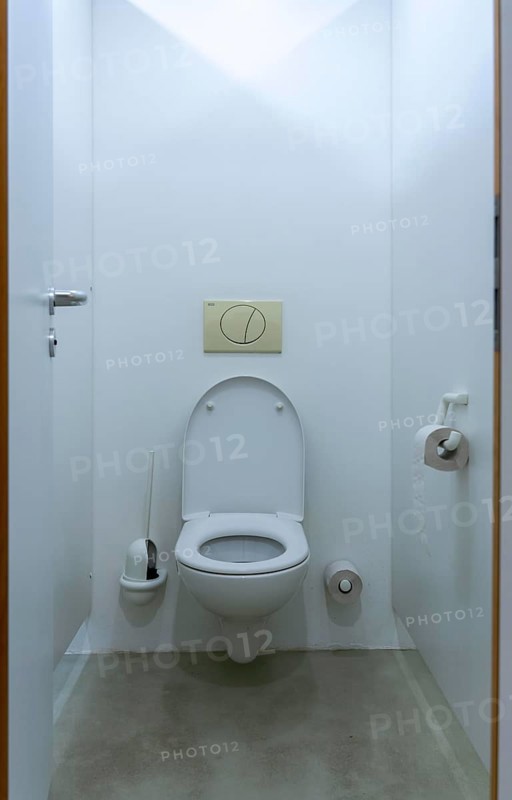 Men's toilet, Toilet cubicles, Toilet seat, Toilet seat