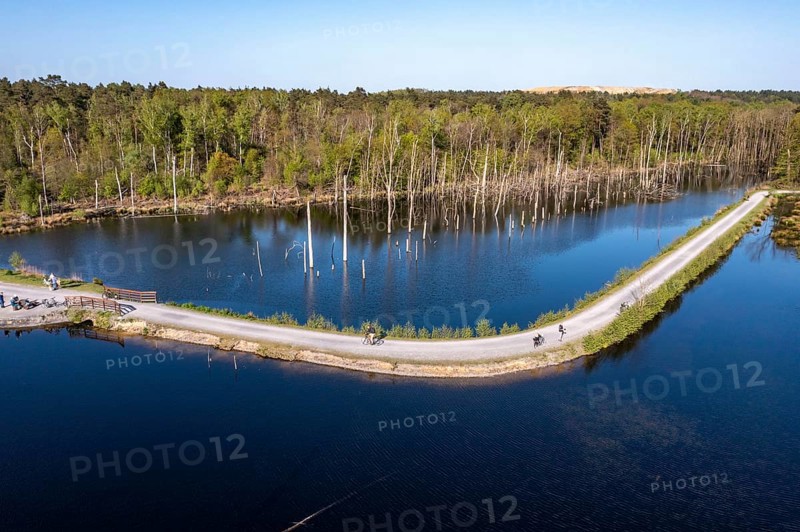 Whitsun lake in the Kirchheller Heide, near the HeidhofWhitsun lake in the Kirchheller Heide, near the HeidhofBiking in the Ruhr area, Franz slag heap, slag heap sign, orange, snail shell-shaped observation tower, Hamm, North Rhine-Westphalia, Germany Whitsun lake in the Kirchheller Heide, near the Heidhof, Hohe Mark Westmünsterland nature park Park, cycling and hiking trail, Bottrop, North Rhine-Westphalia, Germany, Europe