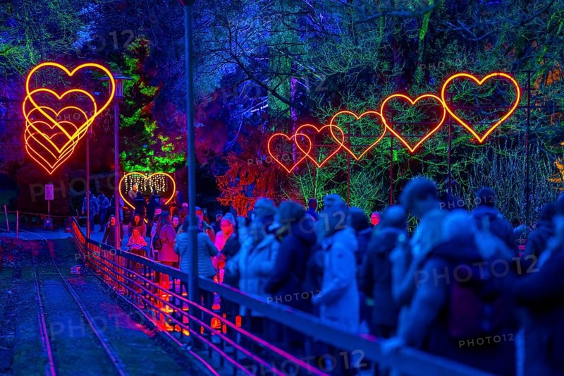 Parkleuchten, event in winter, in the Grugapark in Essen, many different light installations, across the park, attract many thousands of visitors, North Rhine-Westphalia, Germany, Europe