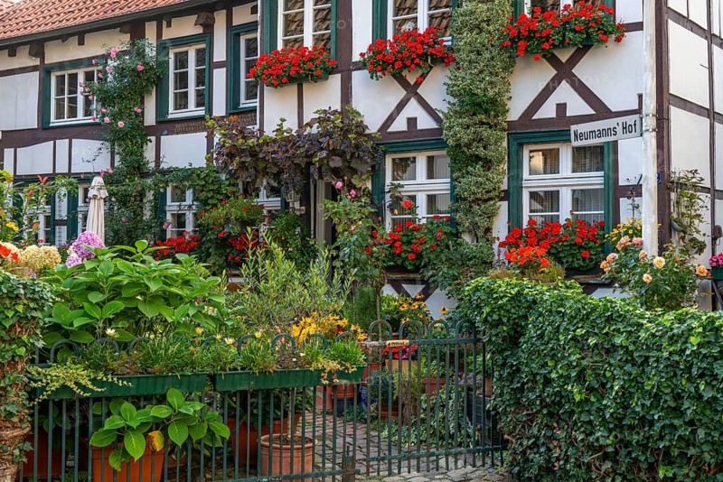 Old village of Westerholt, listed district of Herten Westerholt, over 60 old, well-renovated half-timbered houses form a historic village centre, Herten, North Rhine-Westphalia, Germany, Europe