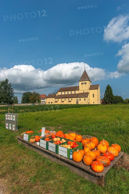 Oberzell, Reichenau Island, St. George's Parish Church, UNESCO World Heritage Site, pumpkin sale, autumn, fields, Lake Constance, Baden-Württemberg, Germany, Europe