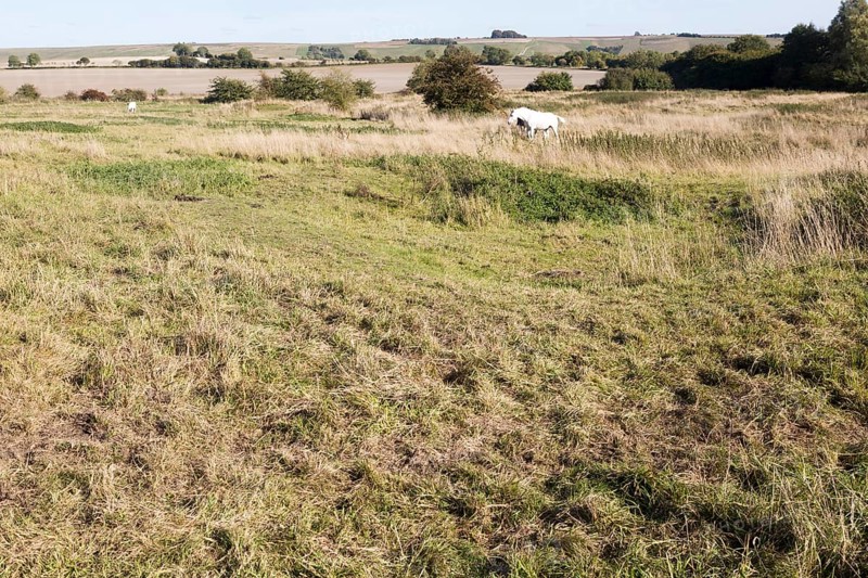 Richardson deserted medieval village, Berwick Bassett, Wiltshire, England, UK