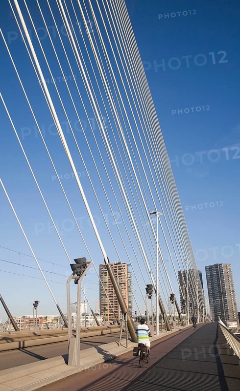 Erasmus Bridge, Erasmusbrug, spanning the River Maas designed by architect Ben van Berkel completed 1996, 800 metre span linking north and south Rotterdam, Netherlands