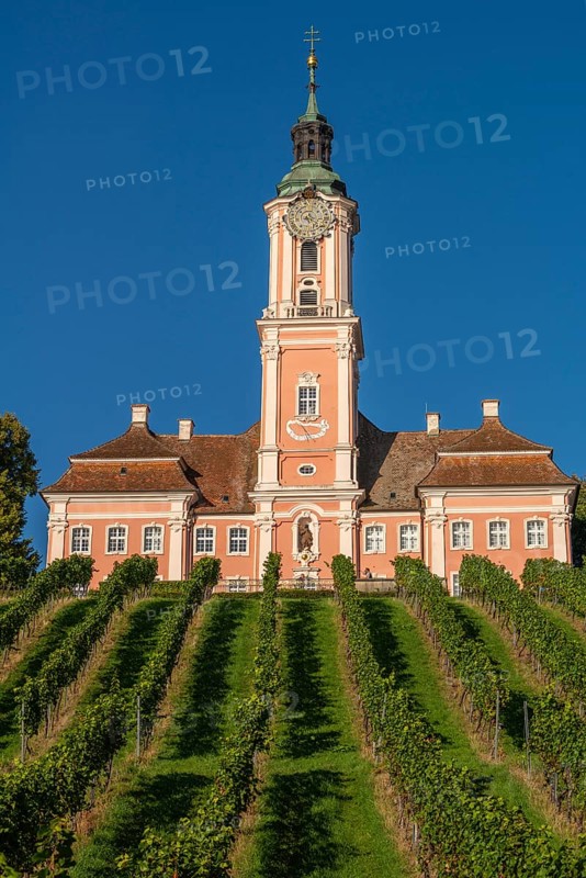 Viticulture, Birnau pilgrimage church, Uhldingen-Mühlhofen, Lake Constance, Baden-Württemberg, Germany, Europe