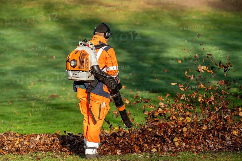 Leaf blower, removal of autumn leaves in a municipal park, Duisburg, North Rhine-Westphalia, Germany, Europe