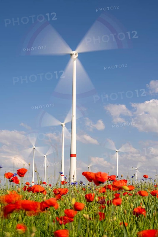 Wind farm, field with flower strips, insect-friendly border of fields with mixed flowers, poppies, north of Marsberg, Hochsauerlandkreis, North Rhine-Westphalia, Germany, Europe