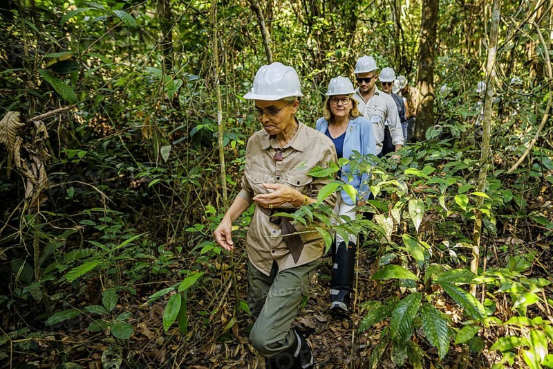 Svenja Schulze (SPD), Federal Minister for Economic Cooperation and Development, visits the cooperative of the traditional local population, COOMFLONA, in the Tapajos National Forest together with the Brazilian Minister for Environmental Protection and Climate, Marina Silva Here explaining the extraction of Copaiba oil from a tree. Tapajos National Forest, 19.07.2024. Photographed on behalf of the Federal Ministry for Economic Cooperation and Development