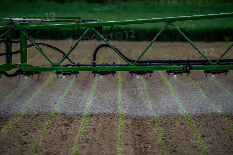 Agriculture, pesticide being sprayed on a field, sugar beet seedlings, North Rhine-Westphalia, Germany, Europe