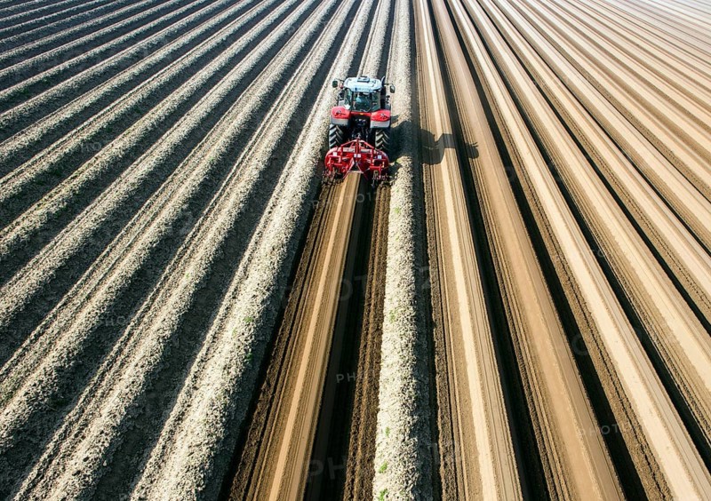 An aerial photo shows a tractor in a large asparagus field. Preparations for the asparagus season. The soil is loosened with a tiller at the front of the tractor, the rear tiller of the tractor creates the typical asparagus mound, Klaistow, Germany, Europe
