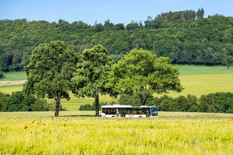 Country road between Hirschberg and Warstein, local bus, public transport, bus transport, Sauerland, North Rhine-Westphalia, Germany, Europe