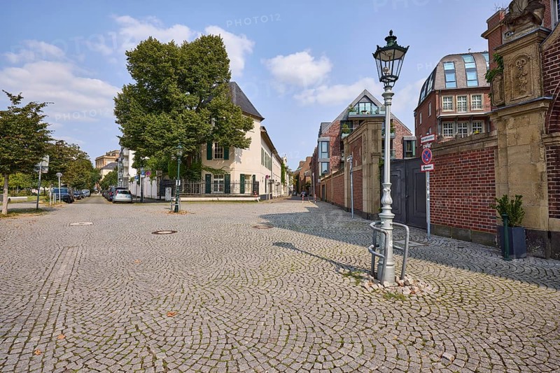 Ritterstraße and Reuterstraße with a summer lime tree (Tilia platyphyllos) and general buildings in Düsseldorf, state capital, independent city, North Rhine-Westphalia, Germany, Europe