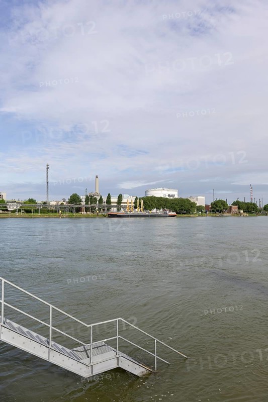 BASF, Lugwigshafen am Rhein, industrial area, landing stage, stairs, Mannheim, Baden-Württemberg, Germany, Europe