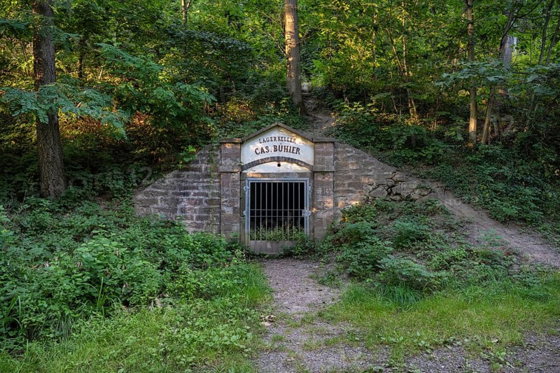 Former beer cellar next to the town wall of Gengenbach, sight in the old town centre of Gengenbach, Ortenaukreis, Baden-Württemberg, Germany, Europe
