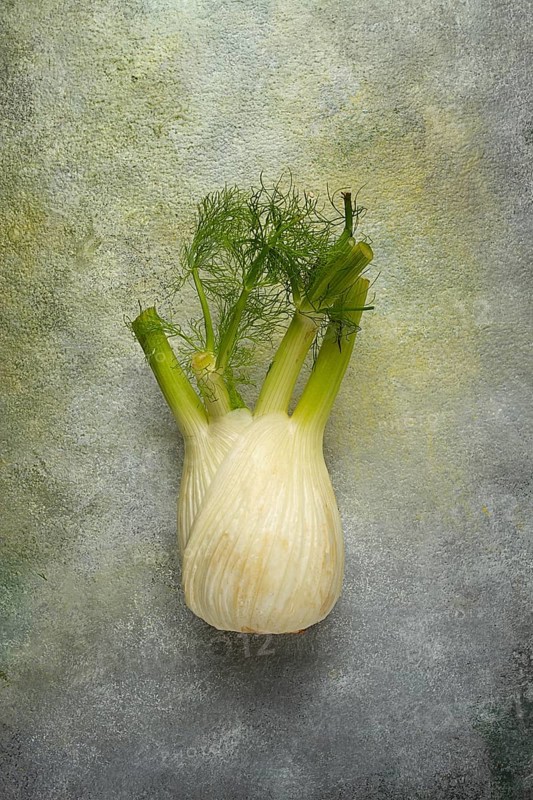 Fennel, bulb, dill root, fresh, top view