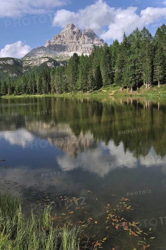 Reflections of pine trees and mountain peak in the lake Lago d'Antorno near Misurina in the Dolomites, Italy, Europe