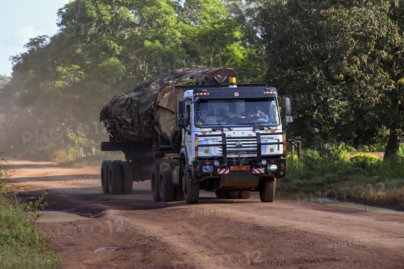 Lorry loaded with tropical timber from the Congo Basin, near Yokadouma, Boumba-et-Ngoko district, Est region, Cameroon, Africa