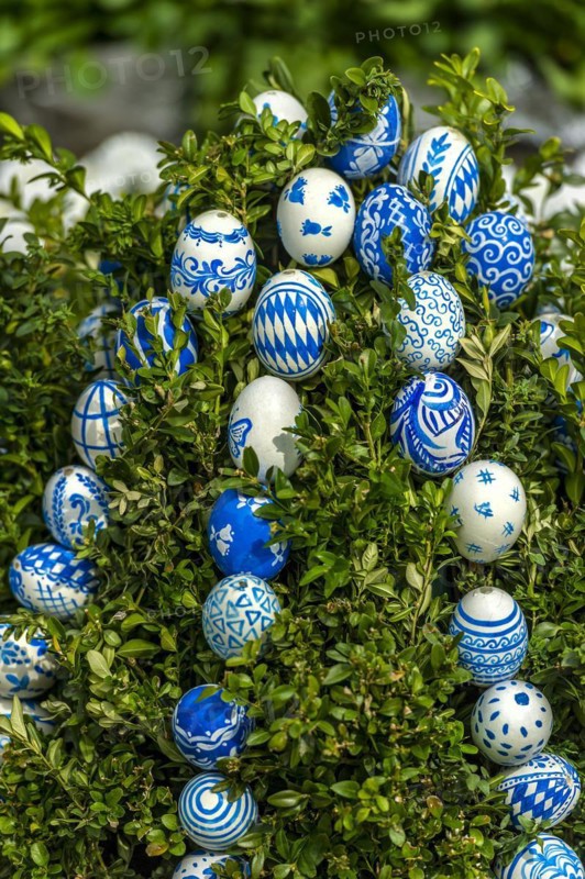 Hand-painted Easter eggs in Bavarian colours white and blue, Easter fountain, Ludwigsbrunnen, Easter market, Ingolstadt, Upper Bavaria, Bavaria, Germany, Europe