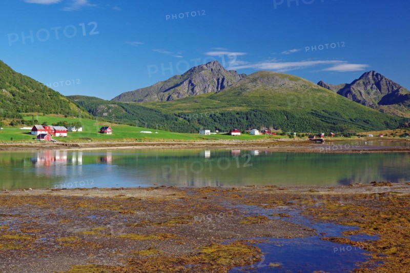 Tidal landscape, mountains and scattered houses, Leknes, Lofoten, Vestvågøy, Nordland, Norway, Europe