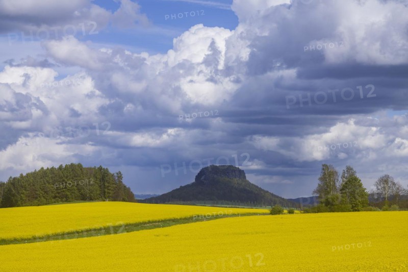 The Lilienstein is the most famous striking rock formation in Saxon Switzerland, Struppen, Saxony, Germany, Europe