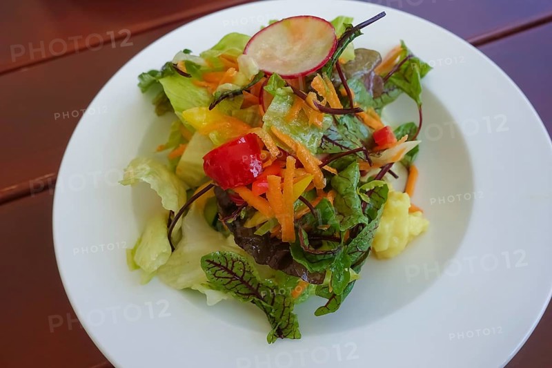 Swabian cuisine, small salad plate, mixed salad arranged on a plate, sorrel, iceberg lettuce, radishes, peppers, vegetarian, Restaurant Königliche Post, restaurant, food photography, old camp, former military area, biosphere area, Münsingen, Swabian Alb, Baden-Württemberg, Germany, Europe