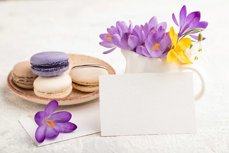 White paper business card mockup with spring snowdrop crocus flowers and multicolored macaroons on gray concrete background. Blank, business card, side view, copy space, still life. spring concept