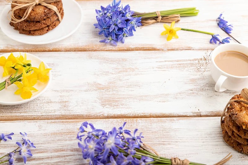 Frame composition with oatmeal cookies, spring snowdrop flowers bluebells, narcissus and cup of coffee on white wooden background. side view, copy space, still life. Breakfast, morning, spring concept