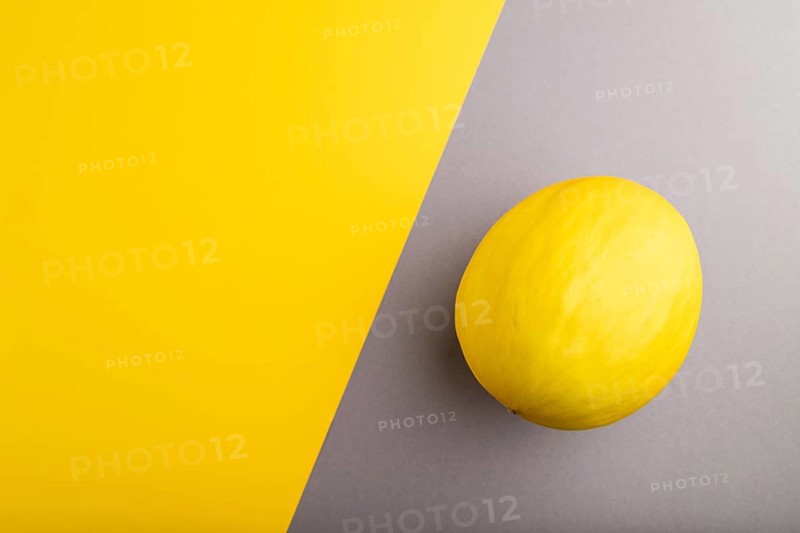 Ripe yellow melon on gray and yellow pastel background. Top view, flat lay, copy space. harvest, healthy, vegan food, concept, minimalism