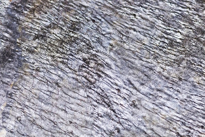 The texture of natural stone, sandstone, limestone, granite