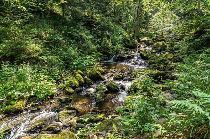 In the Ravenna Gorge near Breitnau, Black Forest, Baden-Württemberg, Germany, Europe