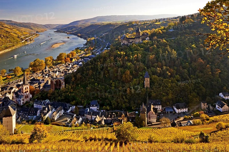View of Bacharach and the Rhine in autumn, UNESCO World Heritage Upper Middle Rhine Valley, Rhineland-Palatinate, Germany, Europe