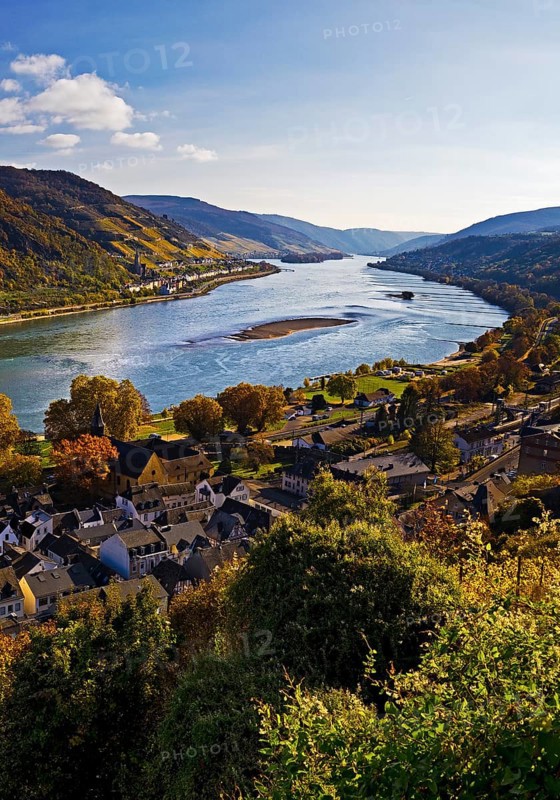 View of Bacharach on the Rhine in autumn, UNESCO World Heritage Upper Middle Rhine Valley, long-distance hiking trail RheinBurgenWeg, Rhineland-Palatinate, Germany, Europe