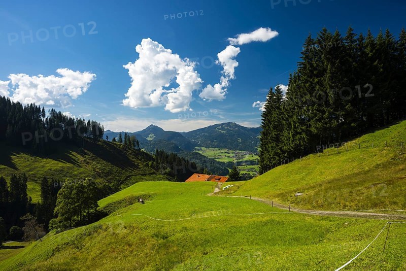 Illertal near Oberstdorf, behind the group of listeners, Allgäu, Bavaria, Germany, Europe