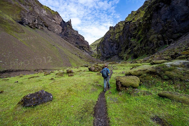 Hiking trail through a green moss-covered gorge, enchanted volcanic landscape, Pakgil, Iceland, Europe