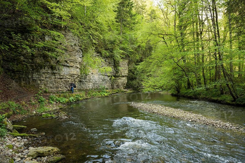 Hiking trail by the river, Wutach Gorge, Bonndorf, Baden-Württemberg, Black Forest, Germany, Europe