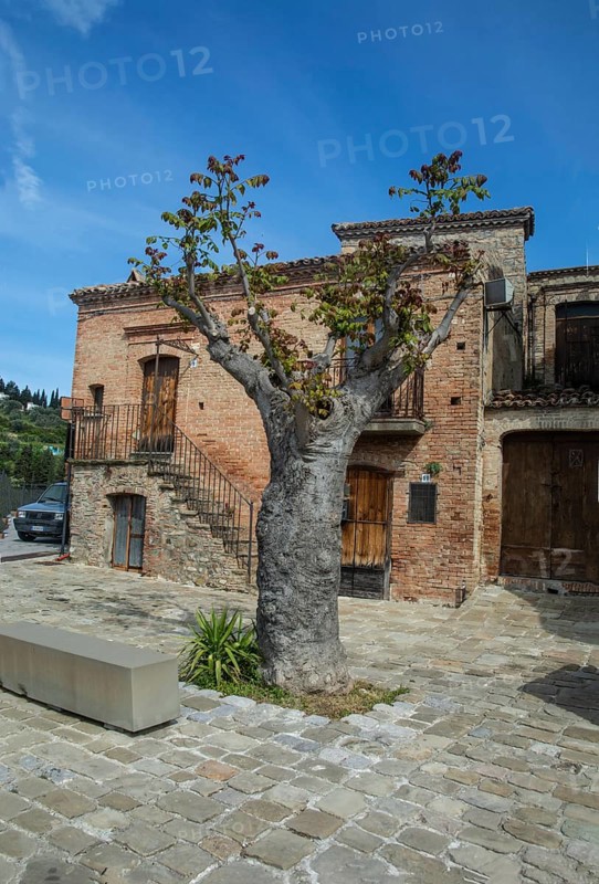 The square in Aliano, the very poor village in southern Italy that the writer Carlo Levi described in his book Christ stopped at Eboli. The book became a bestseller and was filmed. Aliano, Matera District, Basilicata, Italy, Southern Europe, Europe