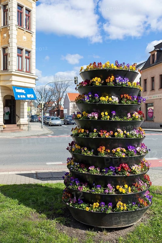 Planting with pansies (viola) in a cascade flowerpot at the intersection of Dresdner Straße and main street, Coswig, Saxony, Germany, Europe