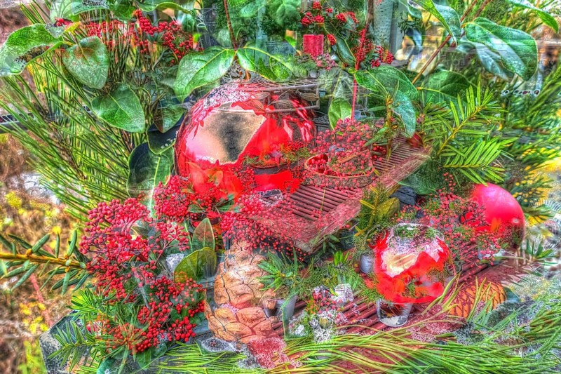 Christmas arrangement, Advent arrangement, Christmas motif, Christmas, Christmas, Christmas festival, Advent season, red Christmas baubles, jewellery, Advent season, artistic photograph, alienation, Christmas decoration, Christmas card motif, fir cones, fir branches, creative photography, Japanese fruit skimmia (skimmia japonica), evergreen perennial, red flowers, Germany, Europe