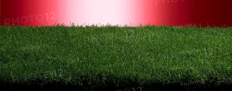 Turf in front of a red background, studio shot
