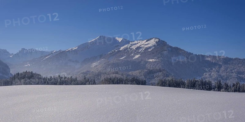 Fellhorn, 2038m, and Söllereck, 1706m, near Oberstdorf, Oberallgäu, Bavaria, Germany, Europe