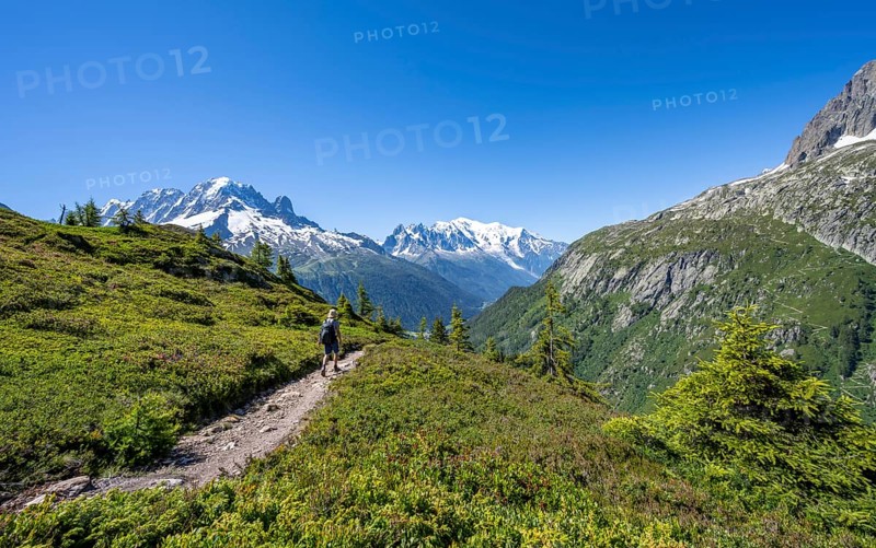 Mountaineer on hiking trail, mountain panorama with glaciated mountain peaks, Aiguille Verte with Aiguille du Midi and Mont Blanc, hike to Aiguillette des Posettes, Chamonix, Haute-Savoie, France, Europe