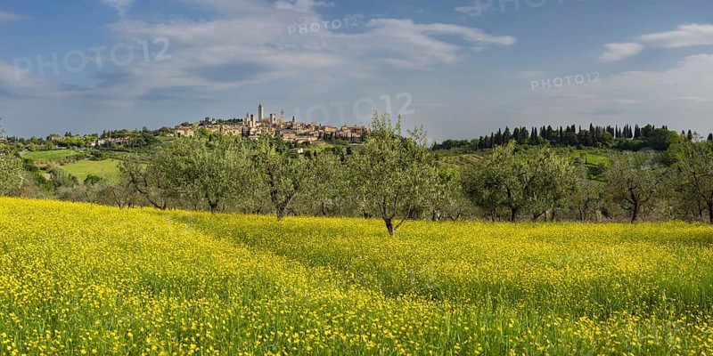 San Gimignano, Tuscany, Italy, Europe