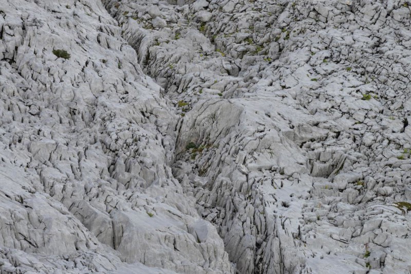 Gottesacker plateau, karst landscape, Kleinwalsertal, Vorarlberg, Allgäu Alps, Austria, Europe