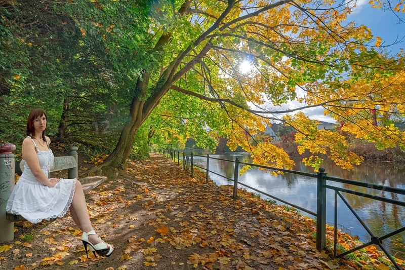 Autumn at the flower wall with model on bench in Rinteln Germany