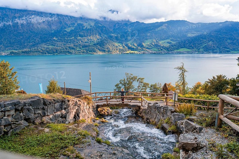 Idyllic stream flows into a lake, surrounded by autumnal mountain landscape, Lake Brienz, Switzerland, Europe
