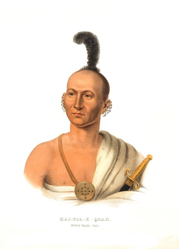 American Indian, Native American, Kai-Pol-E-Quah, a chief of the White Nosed Fox, United States of America, USA, Painting by Charles Bird King (1785, 1862), c. 1840, Historic, digitally restored reproduction from a 19th century original, Record date not stated, North America