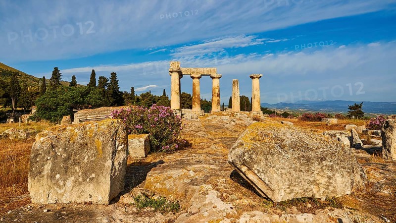 Archaic Temple of Apollo, Doric columns, path leading to ruins with blooming flowers in the foreground, under a clear sky, Archaeological site, Archea Korinthos, Corinth, Peloponnese, Greece, Europe