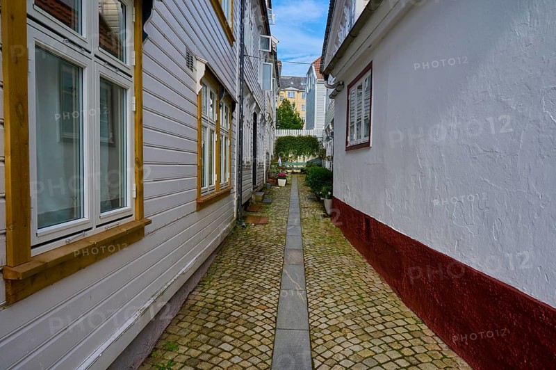 Historic town centre of Bergen with narrow streets and cobblestones surrounded by traditional half-timbered houses and plants, peaceful atmosphere under a clear sky, Bergen, Vestland, Norway, Europe